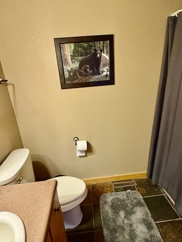 1st floor extra bathroom/shower